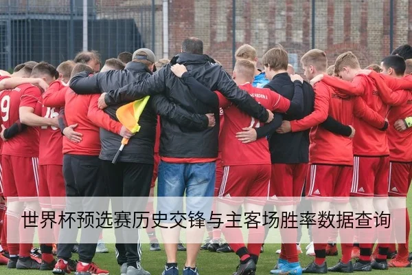世界杯预选赛历史交锋与主客场胜率数据查询