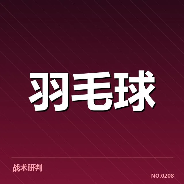 混双集训名单中的核心运动员详情